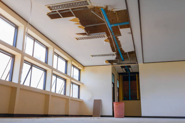 Best Water damage restoration company  in Central Gardens, TX