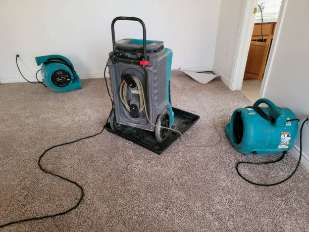 Best 24-hour water damage restoration  in Central Gardens, TX