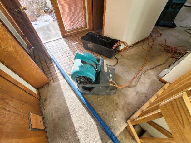 Best 24-hour water damage restoration  in Central Gardens, TX