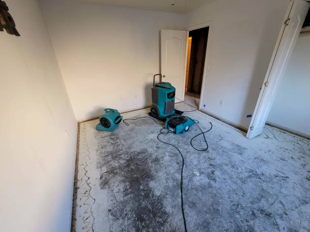 Best Mold removal after water damage  in Central Gardens, TX