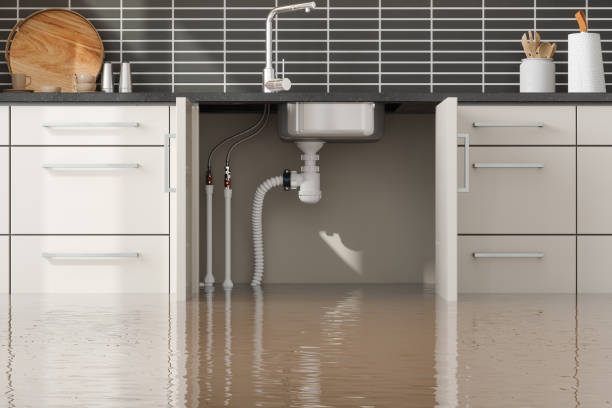 Best Water damage restoration near me  in Central Gardens, TX